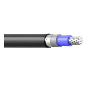 АПвБбШп 1x300