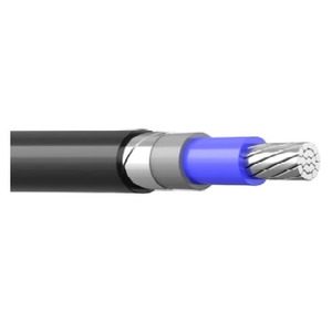 АПвБбШв 1x70