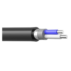 АПвБбШв 2x2,5