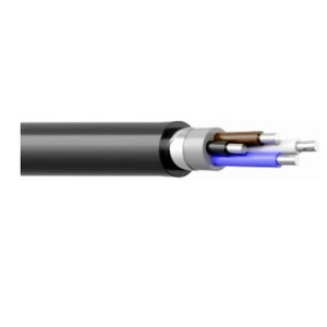 АПвБШп 3x16+1x10